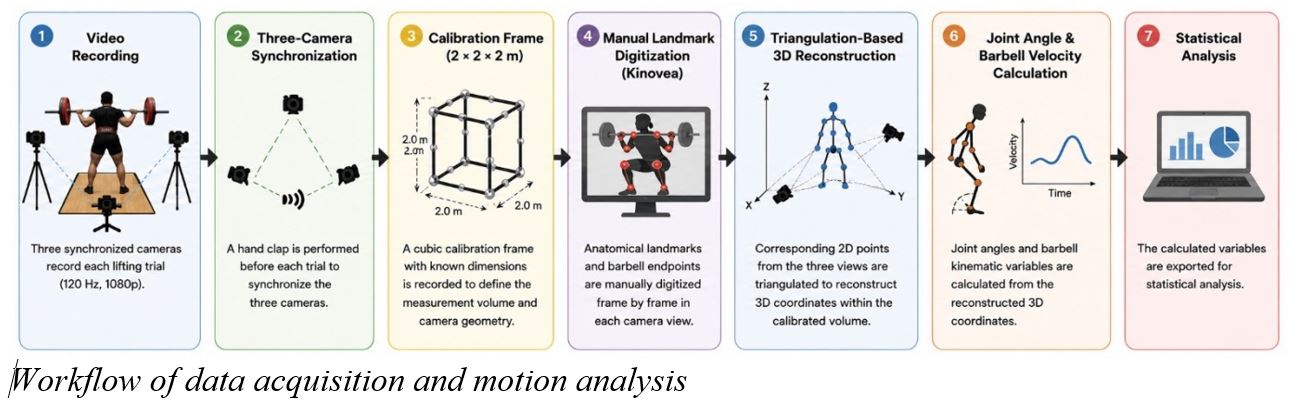 Graphical Abstract