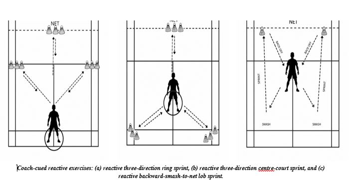 Graphical Abstract