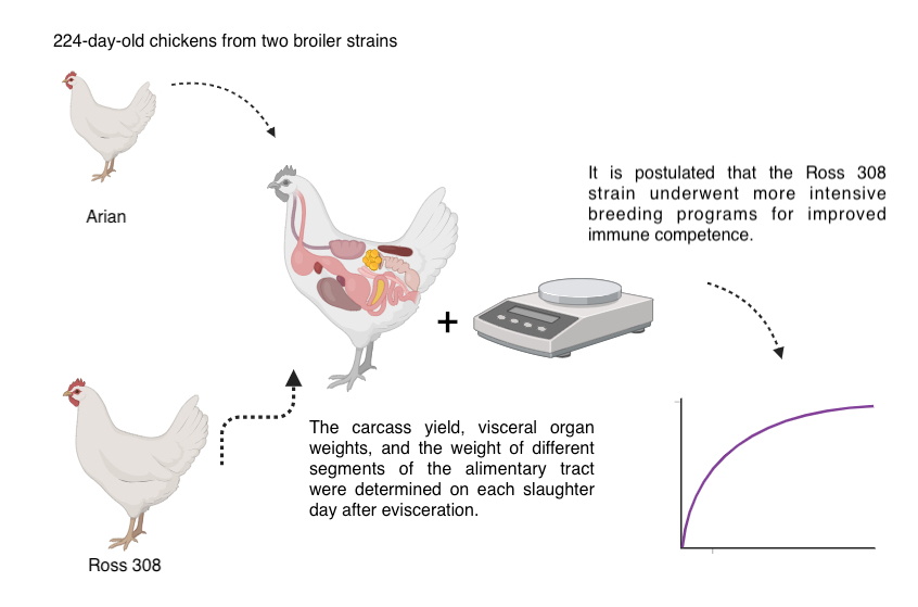 Graphical Abstract