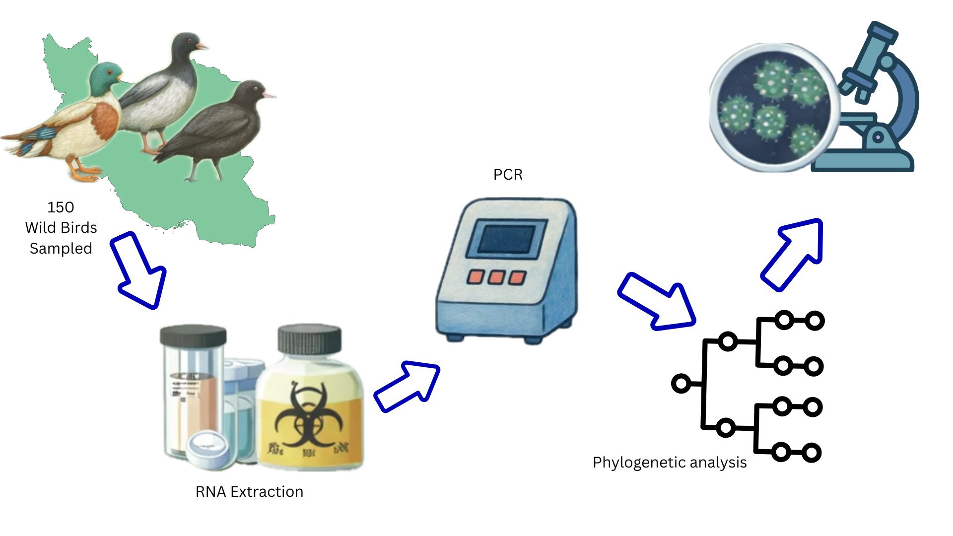 Graphical Abstract