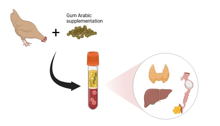 Graphical Abstract